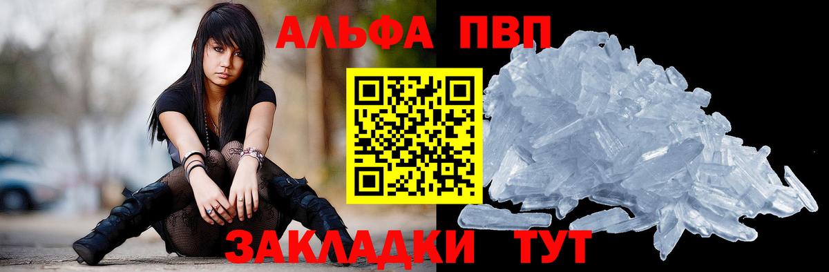 Альфа ПВП СК Белово