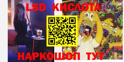 крисы Партизанск
