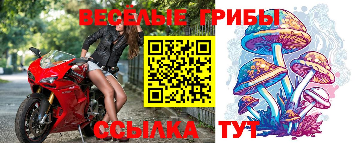 Белово  Галлюциногенные грибы Magic Shrooms  Псилоцибиновые грибы Cubensis  Вход с VPN 